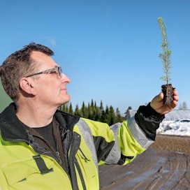 Taimien ulkovarastointi on epävarmaa. Siksi Mellanå Plant on investoinut pakkasvarastoihin, kertoo toimitusjohtaja Rainer Bodman.