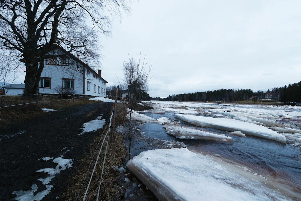 Jäät alkoivat patoutua Kiiminkijoessa viikonloppuna. Oulun Kiimingin Alakylässä Isokannialan tilan kohdalle oli lauantaina muodostumassa jääpato.