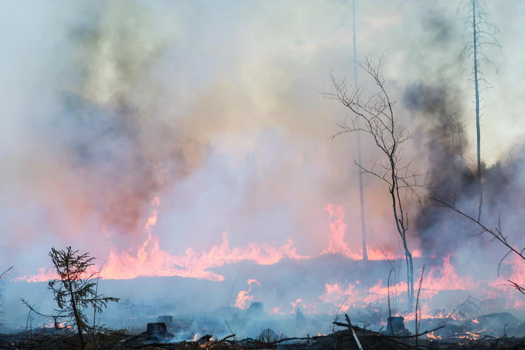 Kulotukset loppuvat Metsähallituksen uudistusaloilta.