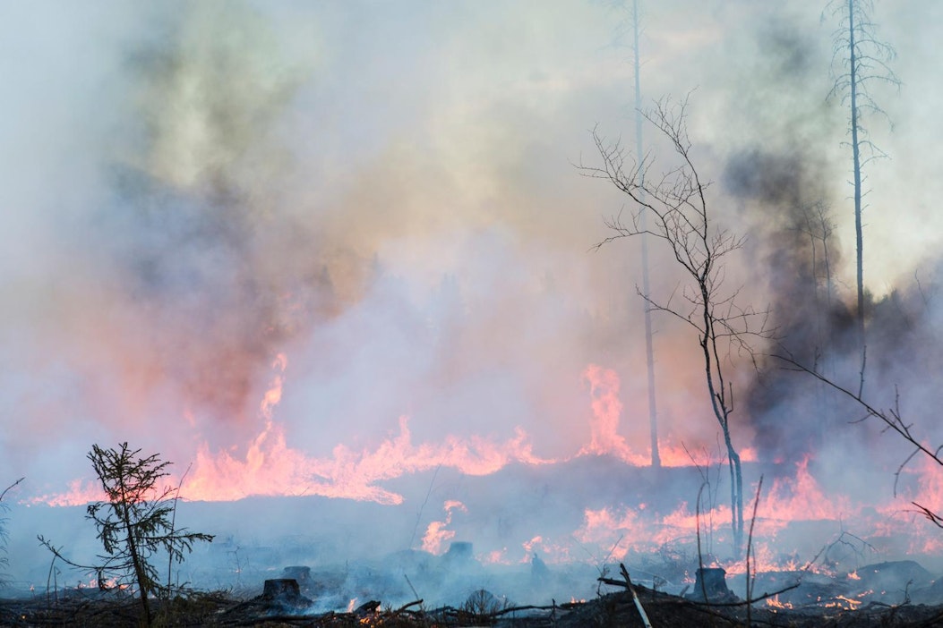 Kulotukset loppuvat Metsähallituksen uudistusaloilta.
