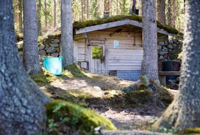 Sarvenperän korsusauna on rakennettu talkootyöllä keskelle rauhaisaa mäntymetsää.