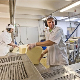 Max Henriksson (vas.) ja Lembit Rajala siirtävät juustoja pakkauskoneeseen.