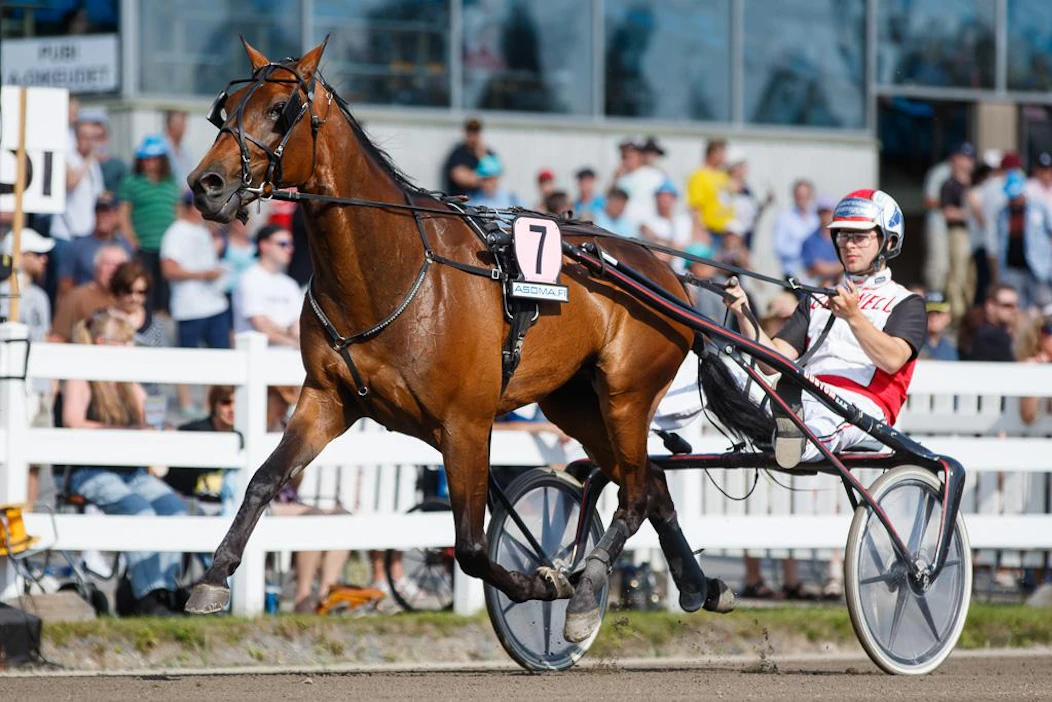 Absoluuttisen SE:n 08,9 haltija ja toissavuotisen Kymi Grand Prix'n kakkonen Next Direction kuuluu kotimaan kovimpiin toivoihin. Timo Hulkkosen treenattava laukoo lauantaina liikkeelle Iikka Nurmosen ohjastamana radalta seitsemän.