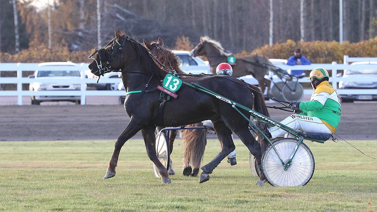 Fiannan Mysti (nro 4) juoksi radalla jonkin aikaa irrallaan, kunnes se saatiin kiinni.