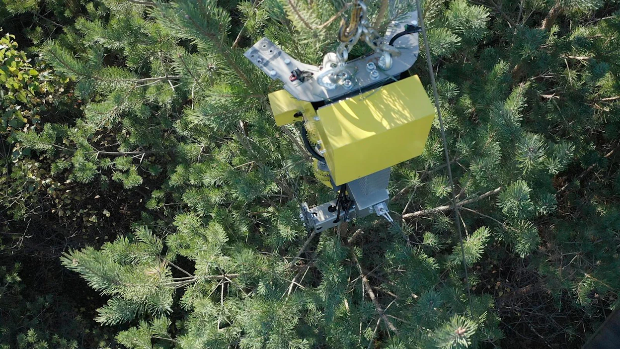 AirForestryn korjuupään on määrä riippua vaijerin varassa lennokista, jolloin raskaat maakoneet, ajourat ja fossiiliset polttoaineet jäisivät harvennushakkuissa historiaan.