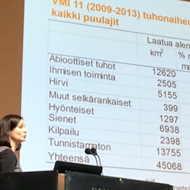Ilmastonmuutos tuo meille lisää erilaisia metsätuhoja, ennusti erikoistutkija Heli Viiri Valtakunnallisilla metsänhoitoyhdistyspäivillä Helsingissä tänään keskiviikkona.