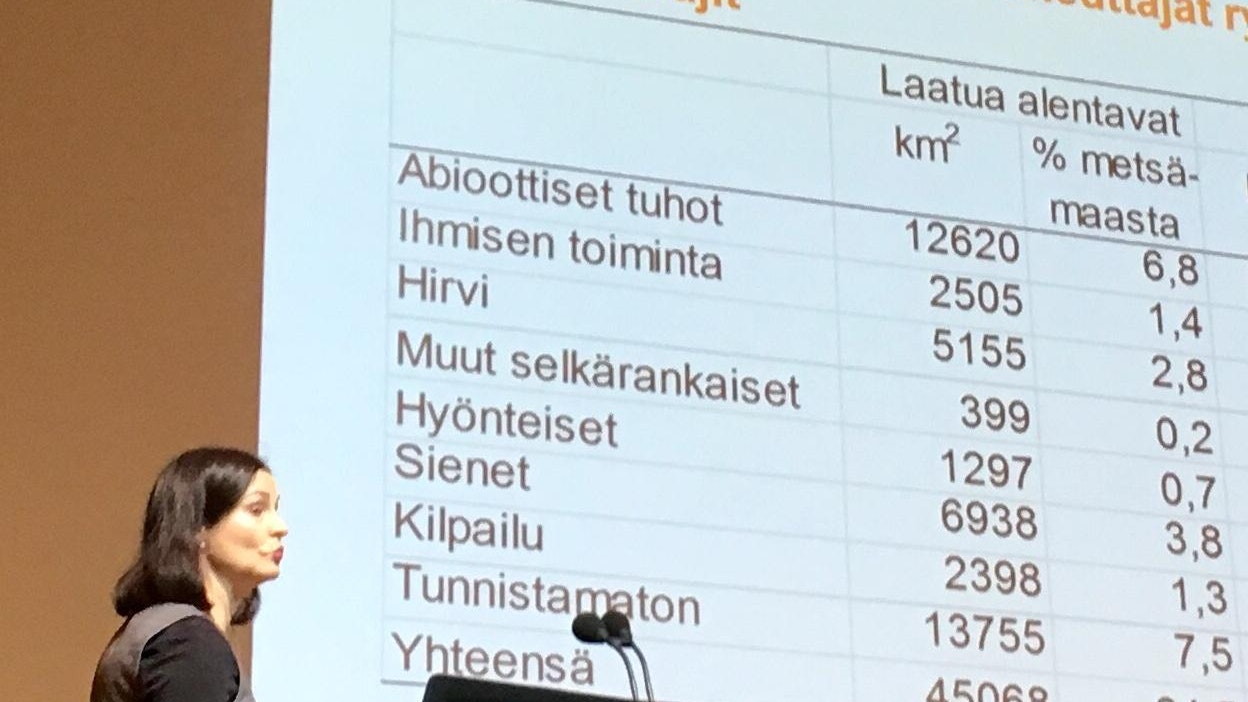 Ilmastonmuutos tuo meille lisää erilaisia metsätuhoja, ennusti erikoistutkija Heli Viiri Valtakunnallisilla metsänhoitoyhdistyspäivillä Helsingissä tänään keskiviikkona.