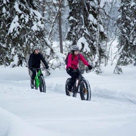 Pallas-Yllästunturin kansallispuistossa voi harrastaa maastopyöräilyä talvellakin.