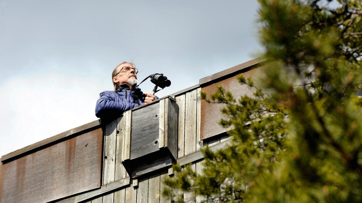 Kellovuoren havainnointiaseman hoitaja Seppo Grönlund tarkkailee lintuja ympäri vuoden.