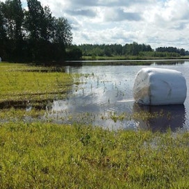 Veden pidättäminen valuma-alueella on yksi keskeisistä Kyrönjoen ja Lapuanjoen tulvariskien hallintasuunnitelmiin kuuluvista toimenpiteistä.
