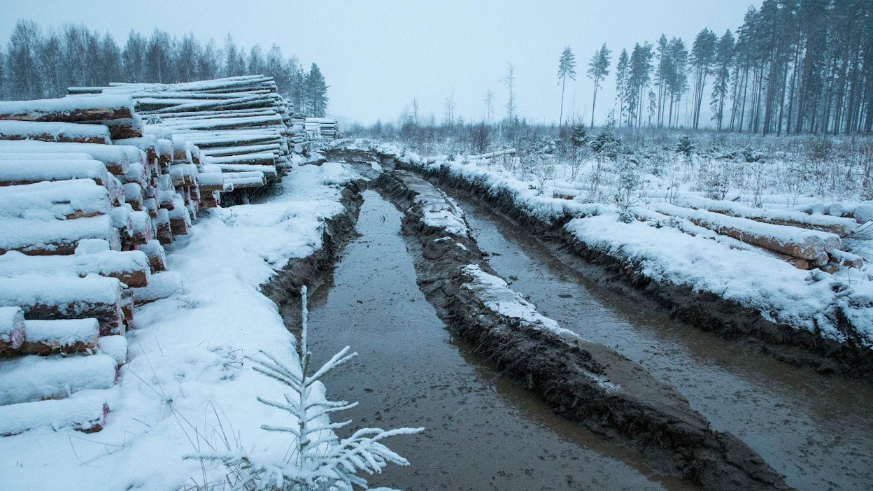 Otso Metsäpalvelut jäi velkaa muun muassa puunmyyjille.