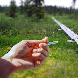 Metsähallitus ei aio kieltää luonnonsuojelualueilla tupakoimista.