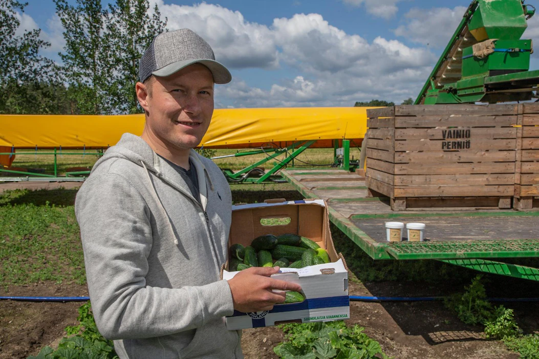 Agrologikoulutuksen saanut Juho Vainio jatkaa veljensä kanssa sukutilaa Salon Perniössä. Häntä viehättävät erikoiskasviviljelyssä vahva markkinoinnin ja yrittäjyyden meininki. "Avomaankurkut ovat parhaimmillaan mummon kurkkuina ja suolakurkut blinien kera", hän kertoo omista kurkkuherkuistaan.