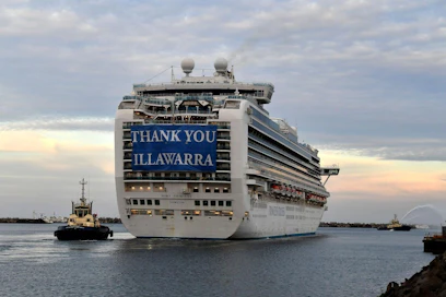Carnival-yhtiön Ruby Princess -alus lähti huhtikuun lopulla Australian Port Kemblasta kohti kansainvälisiä merialueita. Maaliskuussa alukselta päästettiin Sydneyn keskustaan 2700 matkustajaa, joista sadoilla todettiin sittemmin koronavirustartunta. LEHTIKUVA / AFP