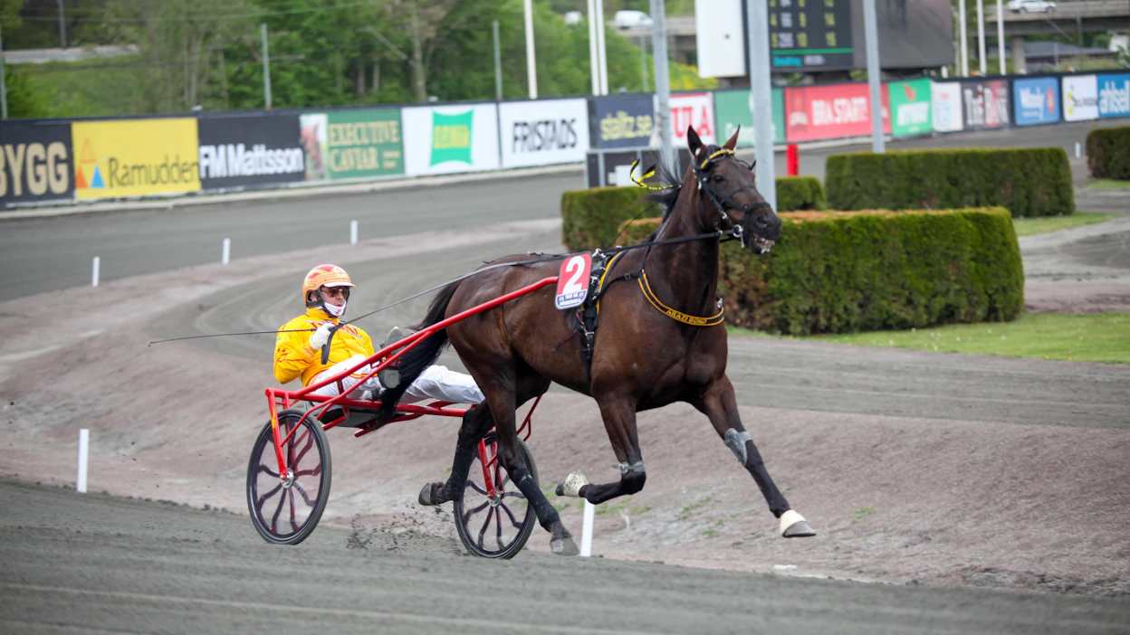 Alessandro Gocciadoro osallistui vuosi sitten Elitloppet-ravien Sweden Cupiin Arazi Bokolla.