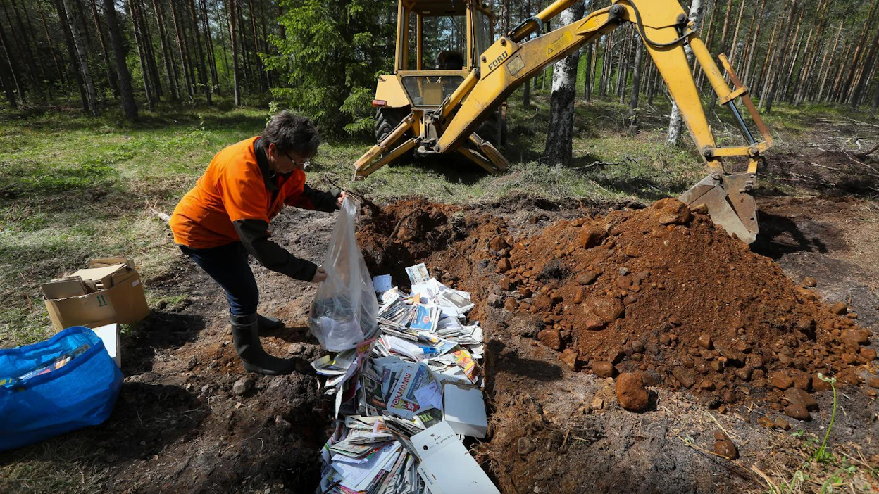 Korvasieniviljelmään tarvitaan kuoppa ja jätepaperia sieniä houkuttelemaan. Kun sopiva kuoppa on kaivettu, Tiina Lietzén kaataa paperit monttuun.