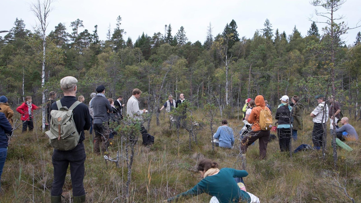 Koneen Säätiön ja Ympäristötiedon foorumin syyskuisessa verkostoitumistilaisuudessa vierailtiin Stormossenin Natura-alueella Kemiönsaaressa. Alueella on toteutettu soiden ennallistamistöitä.
