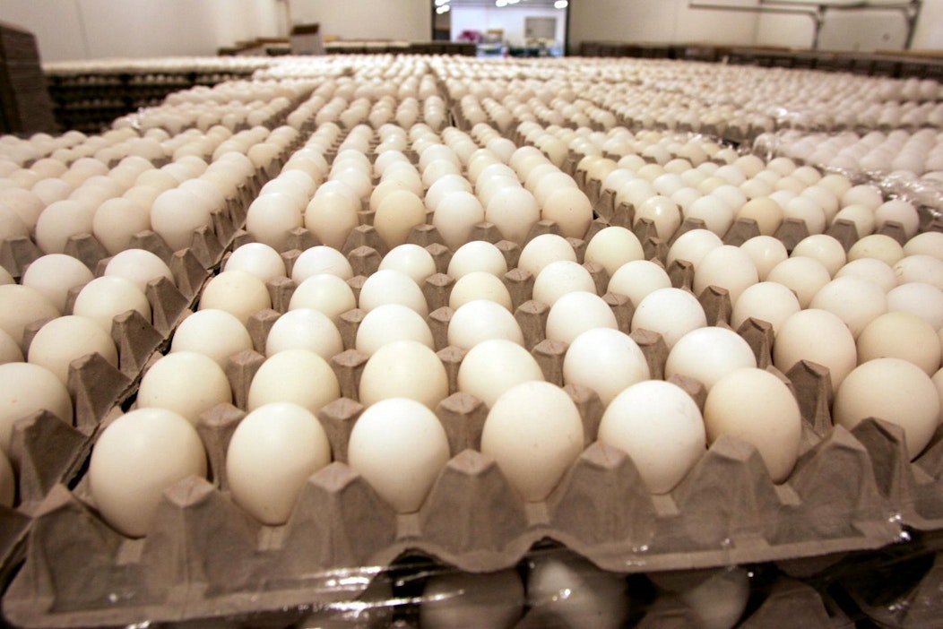 Ensimmäinen kananmunaerä Suomesta Hongkongiin lähtee kesäkuun alussa.