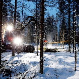 Puukauppoja on tänä vuonna solmittu viimevuotista vähemmän. Viime viikolla metsänomistajat myivät 547 542 kuutiota puuta Metsäteollisuus ry:n jäsenille.