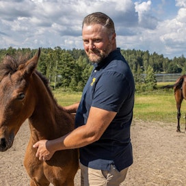 Hevosen omistaminen, joka osaksi tai kokonaan, on Sami Kauhasen tähtäimessä vuosien tauon jälkeen omallakin kohdalla. Toistaiseksi hän &quot;hevostelee&quot; muun muassa ystävänsä Ari Hartikaisen luona, jossa seurana on tamman varsa.