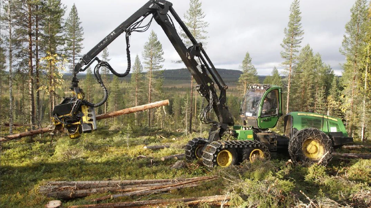 Harvennusleimikoiden myynti voi olla entistä vaikeampaa Lapin selkosilla, jos matkan varrella on pitkälti valtion metsäautoteitä. Veli-Pekka Kaariniemi urakoi torstaina Metsä Groupin päätehakkuuleimikolla Ylitornion Raanujärven maisemissa. Timo Lindholm