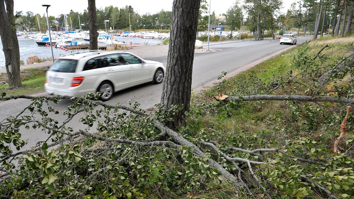 Aallonkorkeus on Selkämerellä noussut aamulla 5,4 metriin, eli laskennallisesti yksittäiset aallot voivat olla yli yhdeksänmetrisiä. Puita on kaatunut myös venesatamassa Raumalla.