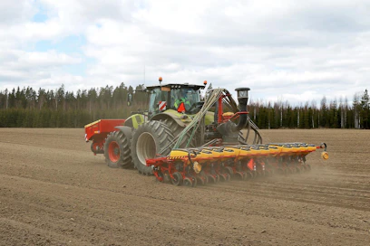 Tammilehdon Herneet kylvää poimintahernettä 12-rivisellä Väderstad Tempo V:llä maaliskuulta aina kesäkuulle saakka. FH2200-lannoitesäiliö on kiinnitetty tänä keväänä kylvötraktoriksi vaihtuneen Claas Axion 850 -traktorin etunostolaitteeseen.