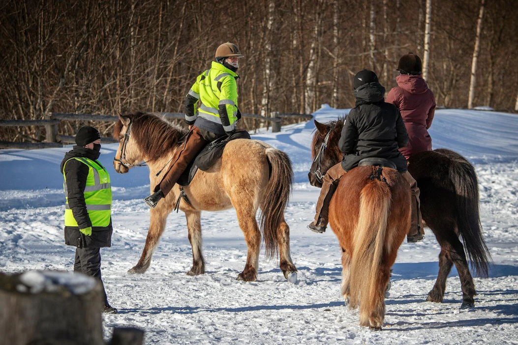 Kuntavaaliehdokkaat tunnistavat hevosmatkailun merkityksen varsinkin maaseudun kunnissa. Kuva on Lieksan Kolilta, jossa toimii vaelluksia järjestävä Paimentupa. Pienryhmää lähtee ohjaamaan Markus Kallies ja yrittäjä Laura Turunen oli mukana ratsaille nousussa.