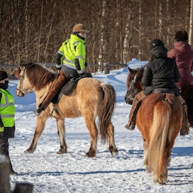 Kuntavaaliehdokkaat tunnistavat hevosmatkailun merkityksen varsinkin maaseudun kunnissa. Kuva on Lieksan Kolilta, jossa toimii vaelluksia järjestävä Paimentupa. Pienryhmää lähtee ohjaamaan Markus Kallies ja yrittäjä Laura Turunen oli mukana ratsaille nousussa.