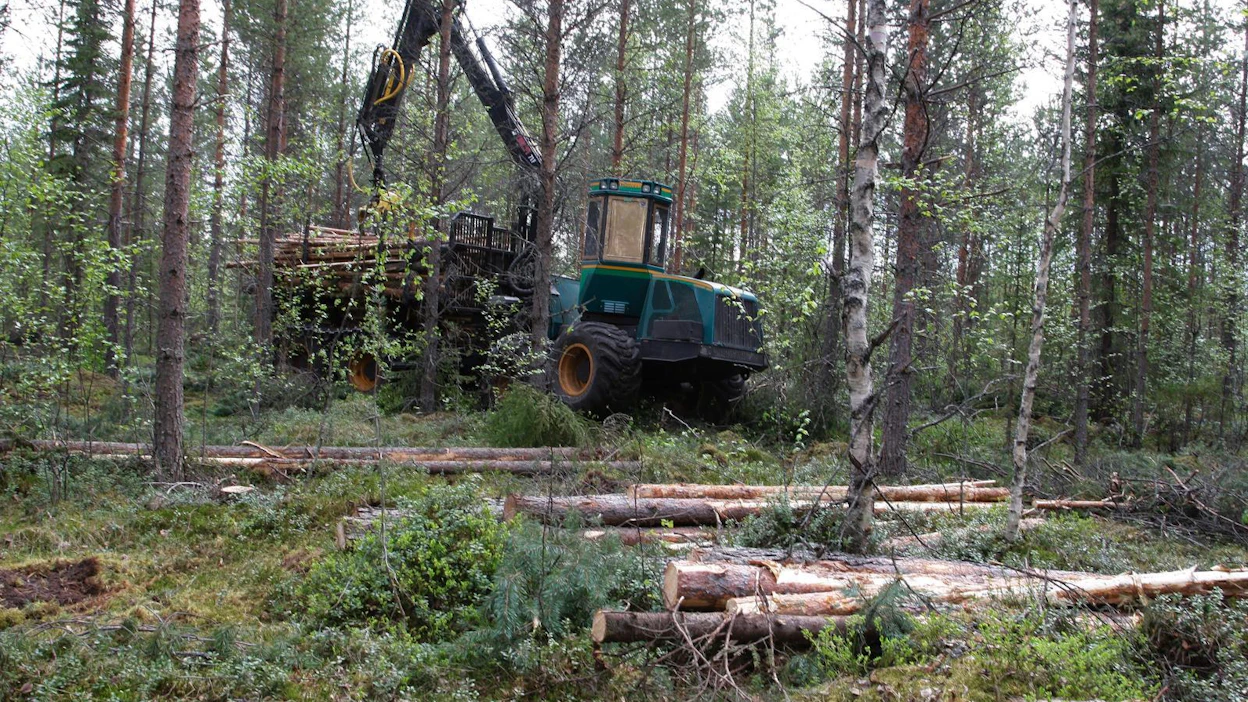 Kulmala on tehnyt toimenpidealoitteen, jossa hän ehdottaa biotalouden vapaaehtoisia lukio-opintoja kokeiluluontoisesti paikkakunnilla, joilla on jo maa- ja metsätalouden opetusta toisella asteella.
