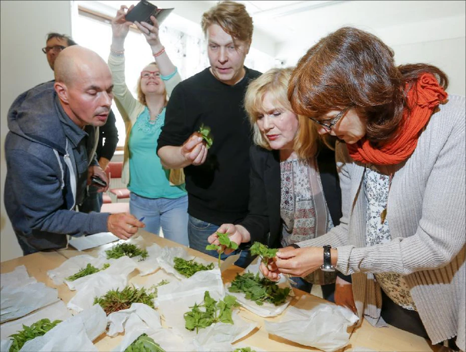Jarmo Åke, Sini Garam, Sami Tallberg, Eija Lehmuskallio ja Raija Kivimetsä tunnistavat villiyrttejä. Markku Vuorikari