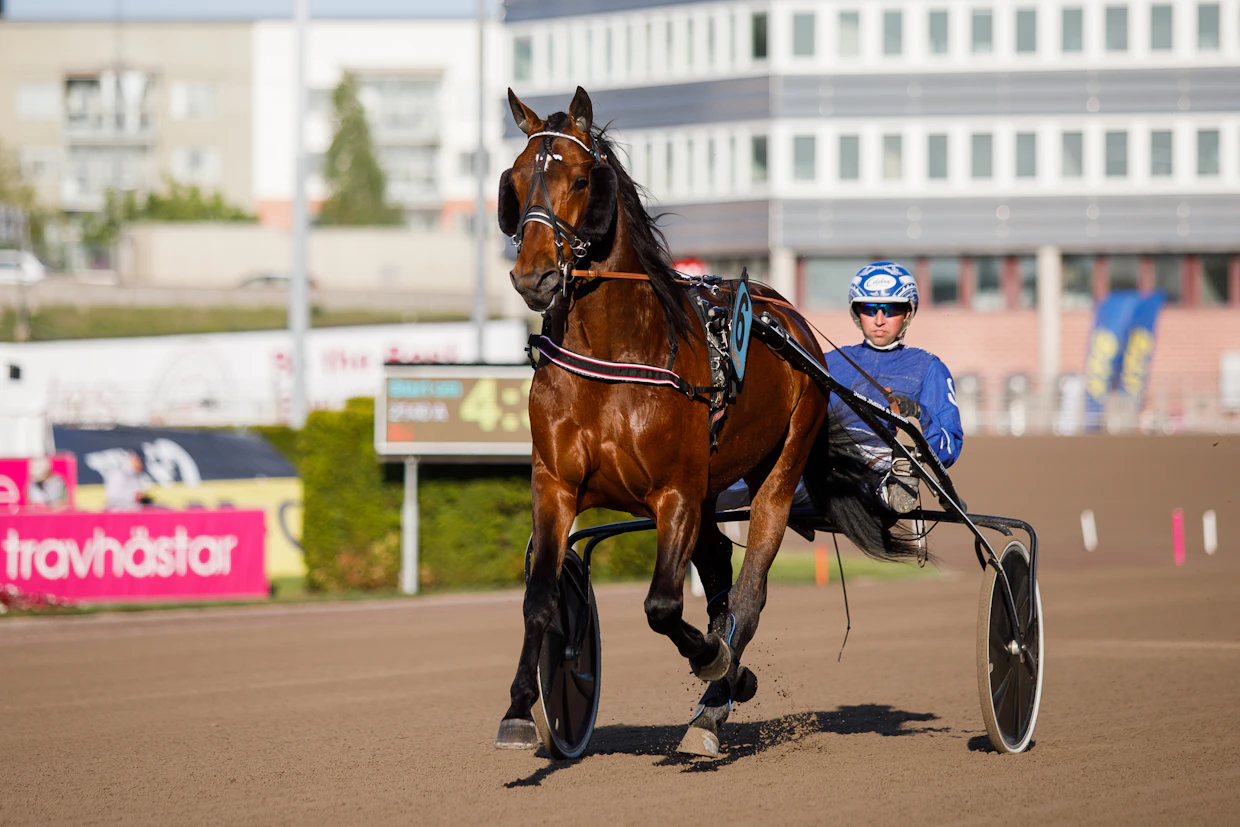 Rikard N Skoglund nähtiin viime vuonna usein Staro Mack Crowen ohjissa.