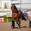 Finlandia-ajoon kutsun saanut Staro Mack Crowe arkistokuvassa Rikard N Skoglundin ajamana.
