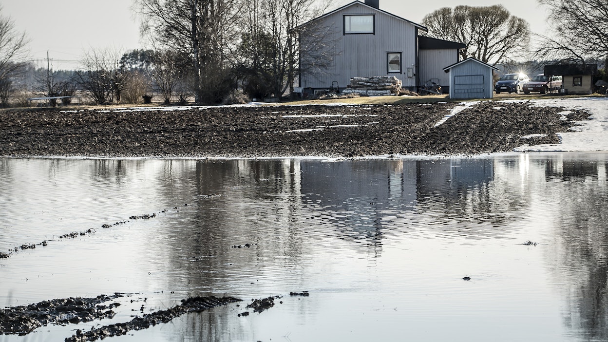 Tulvaa Ylihärmän pelloilla. Kuvituskuva.