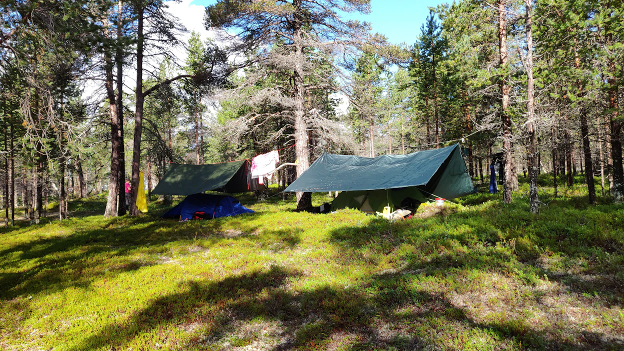 Tarjolla on perinteisiä vaellustelttoja, suurempia ryhmämajoitteita, puiden väliin viritettäviä, ilmassa leijuvia Tentsile-majoitteita sekä sadekatoksella ja hyttysverkolla varustettuja riippumattoja.