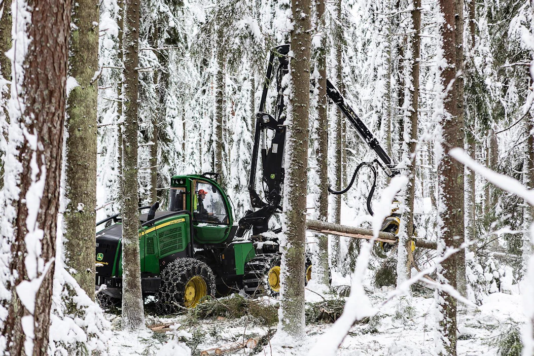 Lapinjärven geenikuusikon uudistumista helpottavat hakkuut alkoivat maanantaina. Tiistaina paikalle tulivat luonnonsuojelijat.