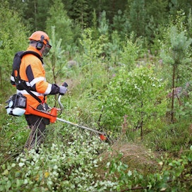 MTK mukaan EU:n metsästrategian julkaisu pitää estää ja se pitää valmistella uudestaan.