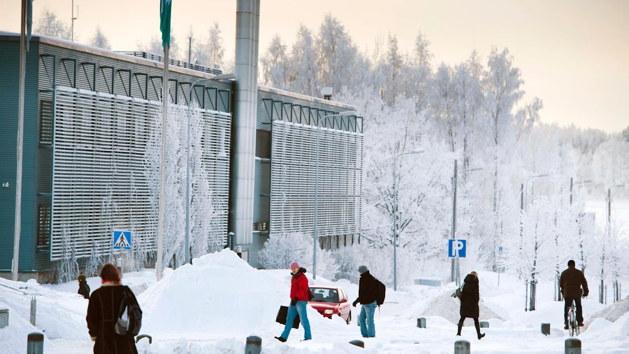 Viikin kampuksella opiskelevat esimerkiksi agronomit ja eläinlääkärit.
