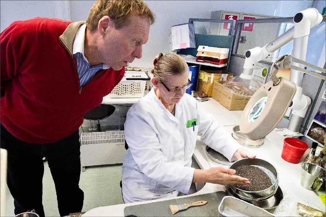 Pentti Ervasto pääsi seuraamaan, miten Pirkko Heikkinen määritti rypsin rikkapitoisuuden Mildolan laboratoriossa Kirkkonummella. Kari Salonen