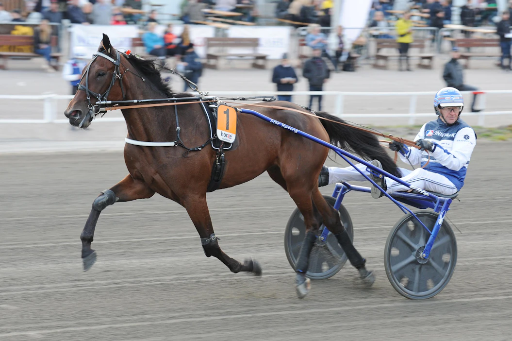 Pekka Korpi ja Magical Princess lähtevät lakeuksille jahtaamaan Kasvattajakruunun välierän voittoa.