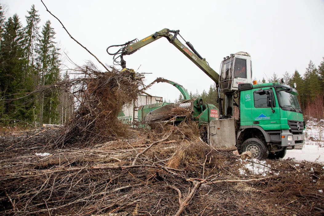 Bioenergian korjuu on ympäristöjärjestöjen mukaan metsien monimuotoisuuden heikentymien syynä.