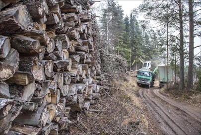 Hakevuoren haketusauto purki perjantaina energiapuupinoa Vantaan Seutulassa. Kimmo Haimi