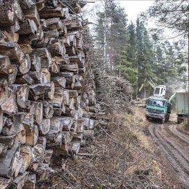Hakevuoren haketusauto purki perjantaina energiapuupinoa Vantaan Seutulassa. Kimmo Haimi