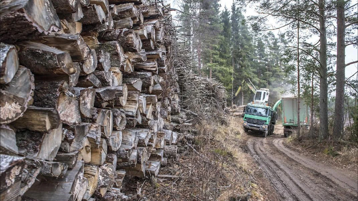 Hakevuoren haketusauto purki perjantaina energiapuupinoa Vantaan Seutulassa. Kimmo Haimi