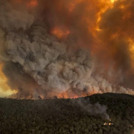 Kasvihuonekaasupäästöjen lisäksi metsäpalot heikentävät luonnon monimuotoisuutta. Australiassa jopa miljardin eläimen arvioidaan kuolleen liekkien alle. Kuva on Bairnsdalesta Australiasta.