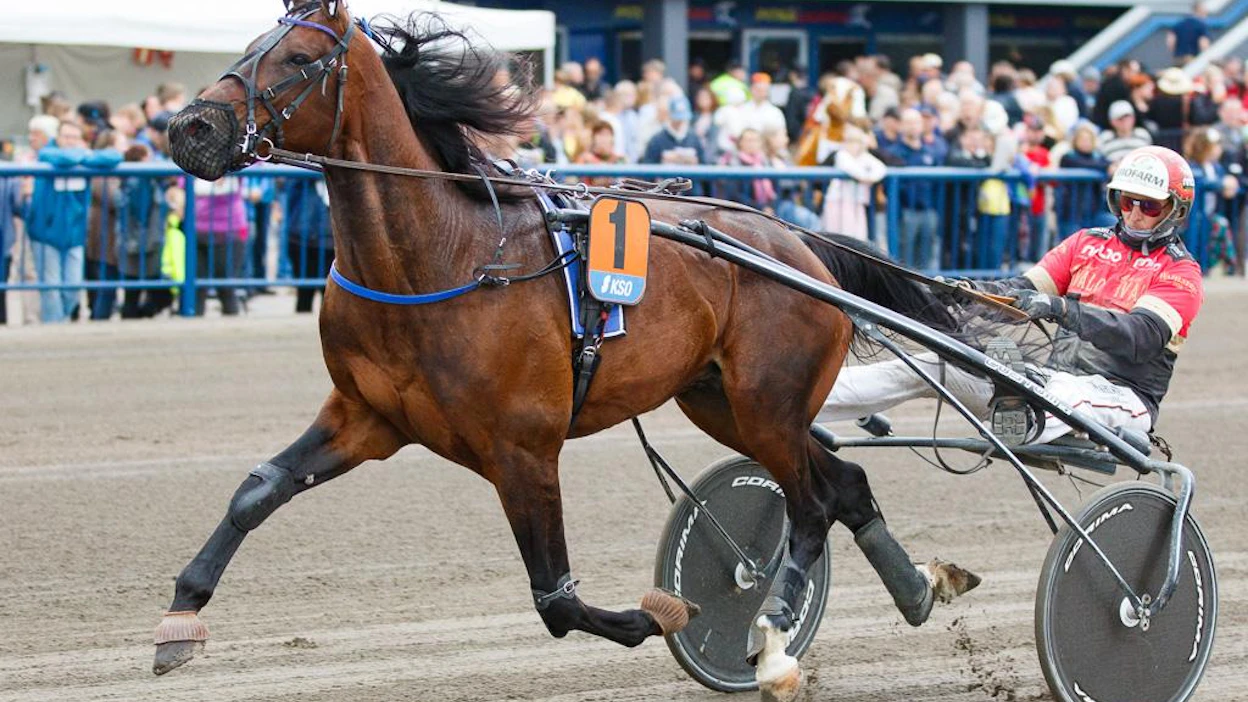 Jolly Roy välttyy pisterankingin kakkosena kohtaamasta vielä karsinnoissa Derbyn suurimpia suosikeita, rankingkärki Graceful Swampia ja rankingkolmonen Lewis Alea.