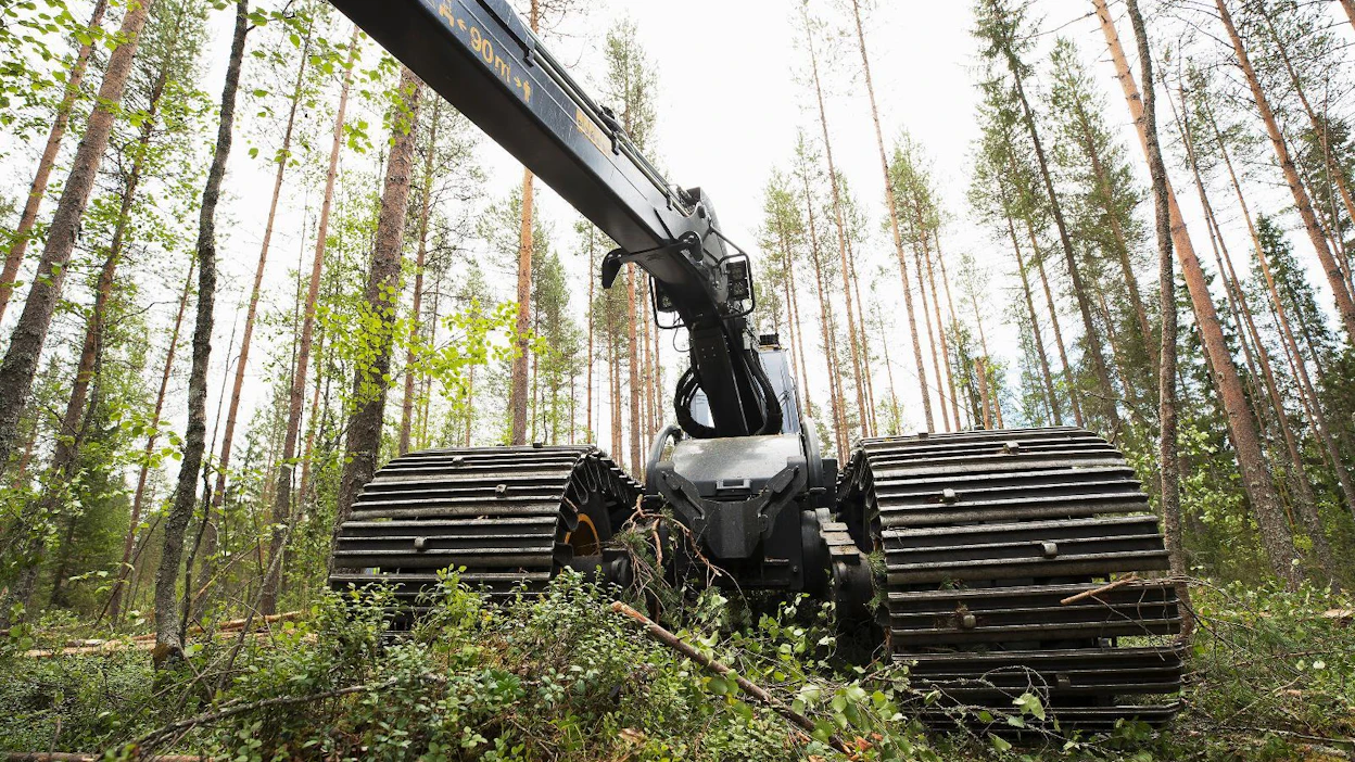 Tuore tutkimus on linjassa aiempien esitysten kanssa, joiden mukaan hakkuiden lisäys pienentää hiilinielua.