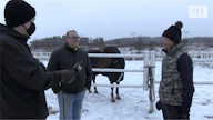 Lauri Hyvönen haastattelee tämän viikon MT Ravit -jaksossa Esa ja Sarianna Hietakangasta. Taustalla valmennettava Ypäjä Norppa.