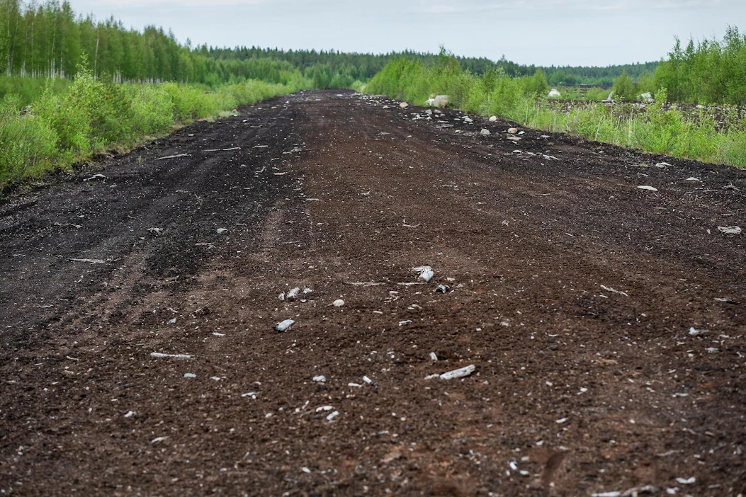 Suurin osa metsitykseen sopivista peltoheitoista ja suopohjista sijaitsee Pohjois-Suomessa.