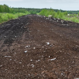 Suurin osa metsitykseen sopivista peltoheitoista ja suopohjista sijaitsee Pohjois-Suomessa.
